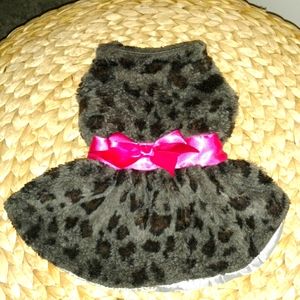 Daisy Fuentes Dog Dress